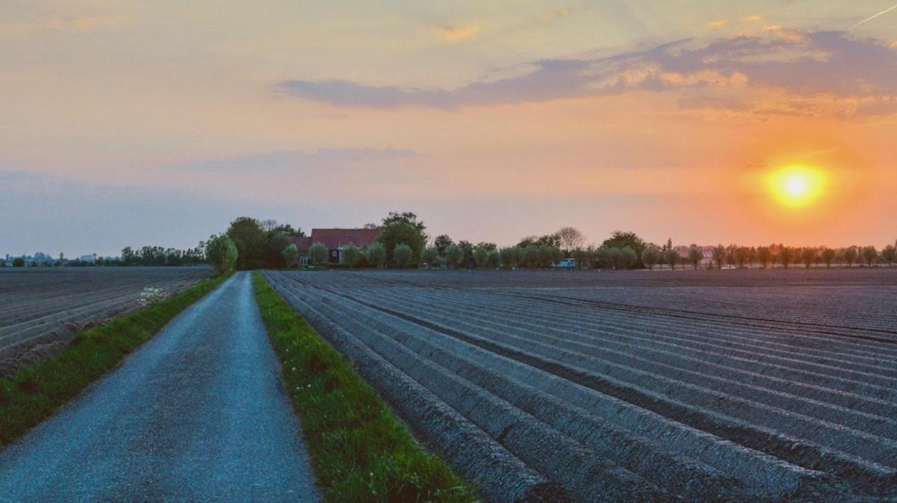 B&B Zicht Op Veere Bagian luar foto